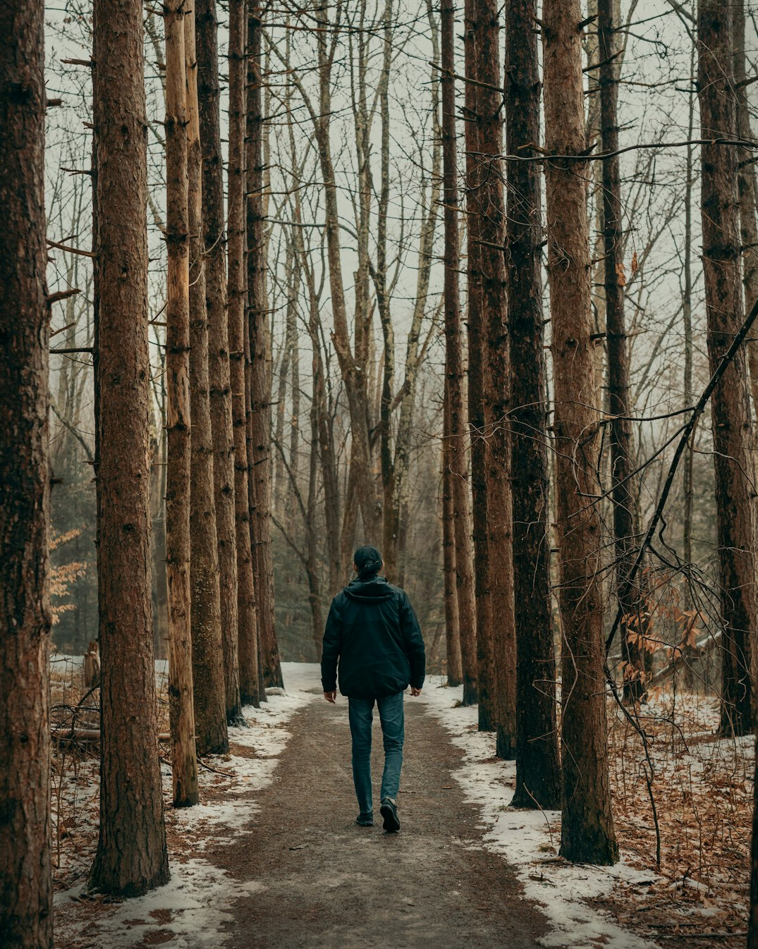 man walking in forest trail